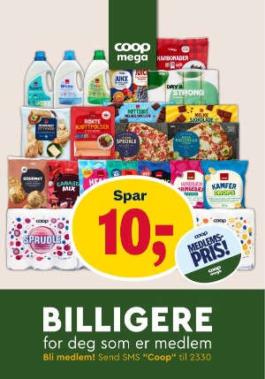 adresseavisen_bilag-20250805_000_00_00_011.pdf