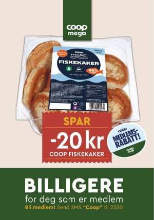 adresseavisen_bilag-20250826_000_00_00_013.pdf