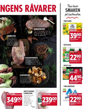 adresseavisen_bilag-20251017_000_00_00_003.pdf