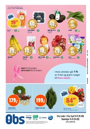 adresseavisen_bilag-20251027_000_00_00_022.pdf