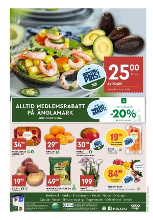 adresseavisen_bilag-20251028_000_00_00_008.pdf