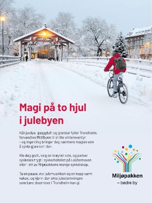 adresseavisen_bilag-20251129_000_00_00_039.pdf