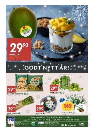 adresseavisen_bilag-20251229_000_00_00_004.pdf