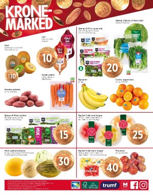 adresseavisen_bilag-20260112_000_00_00_008.pdf