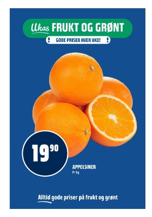 adresseavisen_bilag-20260119_000_00_00_008.pdf