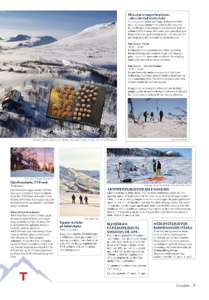 adresseavisen_bilag-20260131_000_00_00_007.pdf