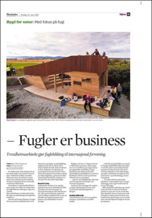 adresseavisen_bog-20130614_000_00_00_011.pdf