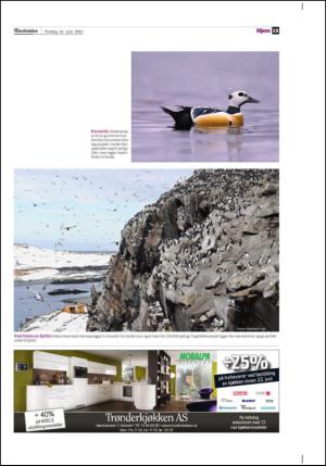 adresseavisen_bog-20130614_000_00_00_013.pdf