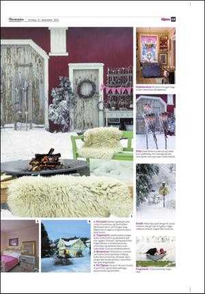 adresseavisen_bog-20131213_000_00_00_013.pdf