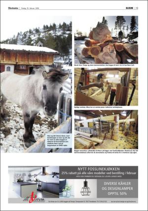 adresseavisen_bog-20160219_000_00_00_013.pdf