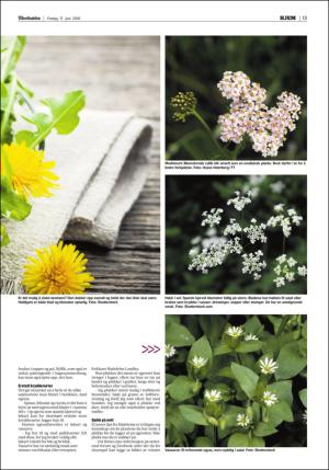 adresseavisen_bog-20160617_000_00_00_013.pdf