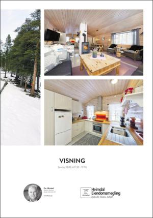 adresseavisen_bog-20170217_000_00_00_071.pdf