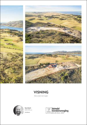 adresseavisen_bog-20170331_000_00_00_079.pdf