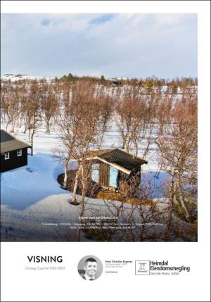 adresseavisen_bog-20170407_000_00_00_041.pdf