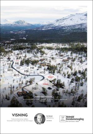 adresseavisen_bog-20170407_000_00_00_043.pdf