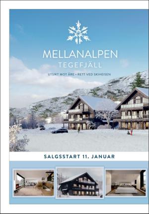 adresseavisen_bog-20190111_000_00_00_058.pdf