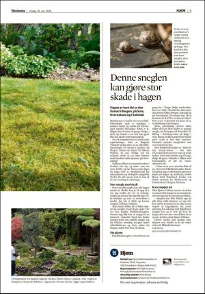 adresseavisen_bog-20200626_000_00_00_003.pdf