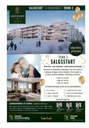 adresseavisen_bog-20210312_000_00_00_038.pdf