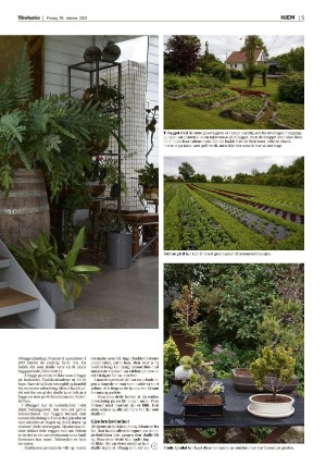 adresseavisen_bog-20211029_000_00_00_005.pdf