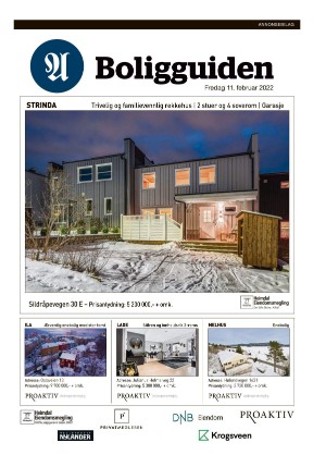 adresseavisen_bog-20220211_000_00_00_011.pdf