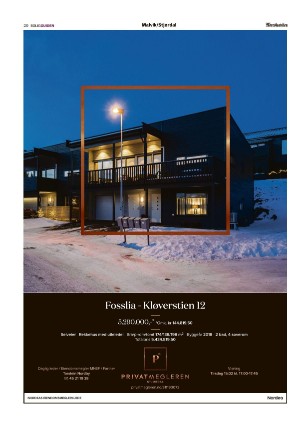 adresseavisen_bog-20220211_000_00_00_020.pdf