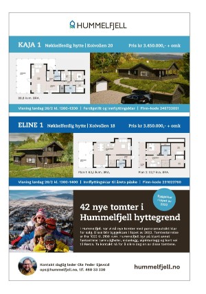 adresseavisen_bog-20220218_000_00_00_017.pdf