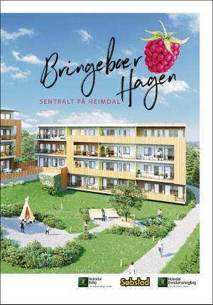 adresseavisen_bolig-20180608_000_00_00_031.pdf