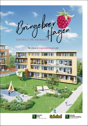 adresseavisen_bolig-20180615_000_00_00_013.pdf