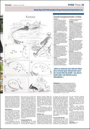 adresseavisen_kul-20130613_000_00_00_015.pdf