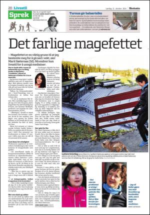 adresseavisen_oko-20141011_000_00_00_020.pdf