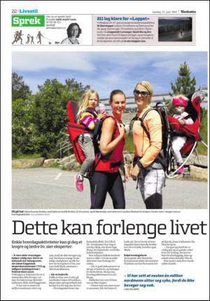 adresseavisen_oko-20150613_000_00_00_022.pdf