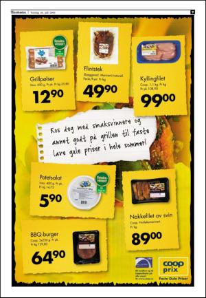 adresseavisen_spo-20090730_000_00_00_007.pdf