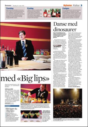 adresseavisen_spo-20110328_000_00_00_003.pdf