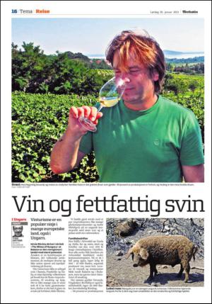 adresseavisen_spo-20130126_000_00_00_016.pdf