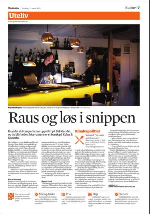 adresseavisen_spo-20130307_000_00_00_007.pdf