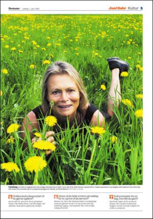 adresseavisen_spo-20130601_000_00_00_005.pdf