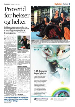 adresseavisen_spo-20130605_000_00_00_005.pdf