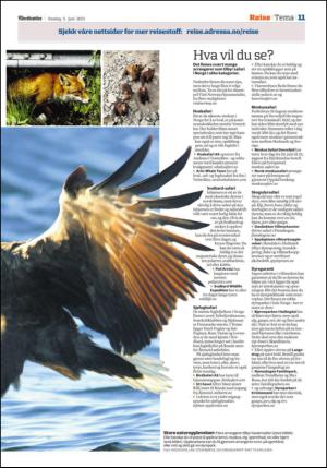 adresseavisen_spo-20130605_000_00_00_011.pdf