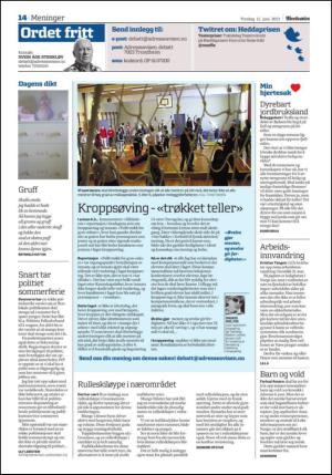 adresseavisen_spo-20130611_000_00_00_014.pdf