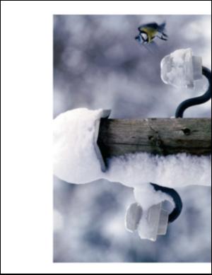 adresseavisen_uka-20050115_000_00_00_023.pdf