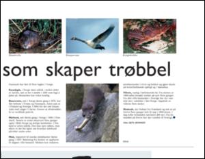 adresseavisen_uka-20050122_000_00_00_011.pdf