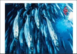 adresseavisen_uka-20050319_000_00_00_007.pdf