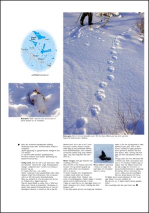 adresseavisen_uka-20060128_000_00_00_012.pdf
