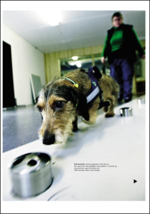 adresseavisen_uka-20060325_000_00_00_017.pdf