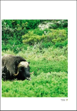 adresseavisen_uka-20060701_000_00_00_007.pdf