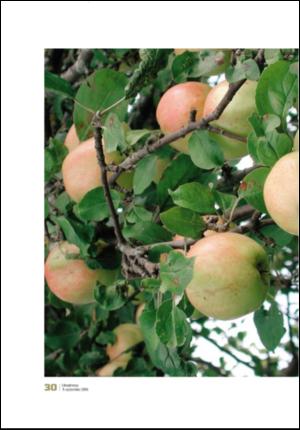 adresseavisen_uka-20060909_000_00_00_030.pdf