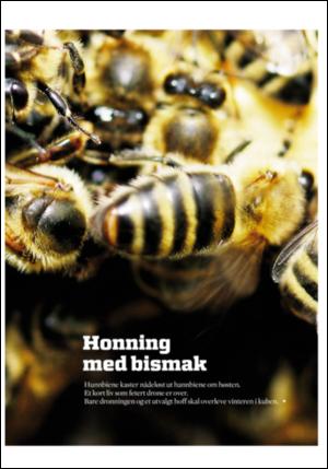 adresseavisen_uka-20060930_000_00_00_029.pdf
