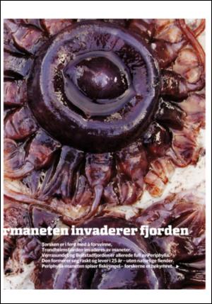 adresseavisen_uka-20061125_000_00_00_025.pdf