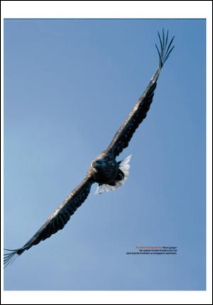 adresseavisen_uka-20070106_000_00_00_023.pdf