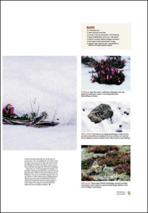 adresseavisen_uka-20070630_000_00_00_005.pdf